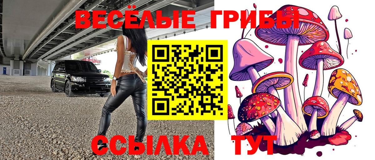 Псилоцибиновые грибы ЛСД Краснознаменск