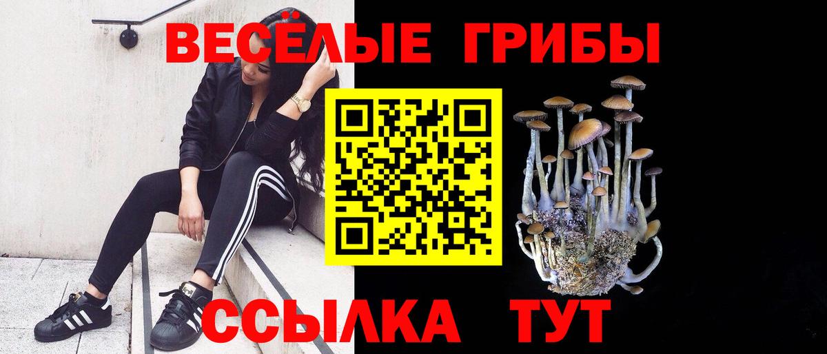 Псилоцибиновые грибы прущие грибы  Вход с VPN  Галлюциногенные грибы MAGIC MUSHROOMS  Краснознаменск 